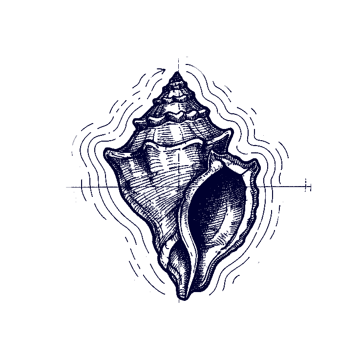 FEEDBACK